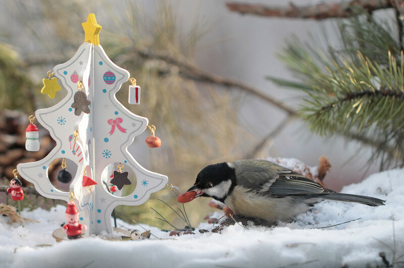 Новогодние подарки зимующим птицам